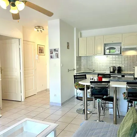 Appartement Climatise 2 Pieces Avec Terrasse Et Parking Au Lavandou - Fr-1-251-854 Le Lavandou
