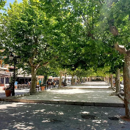 Climatise 2 Pieces Avec Terrasse Et Parking Au Lavandou - Fr-1-251-854